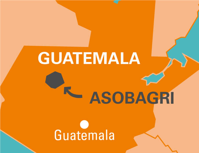 Carte coopÃ©rative ASOBAGRI au Guatemala - CafÃ© en grains 1kg